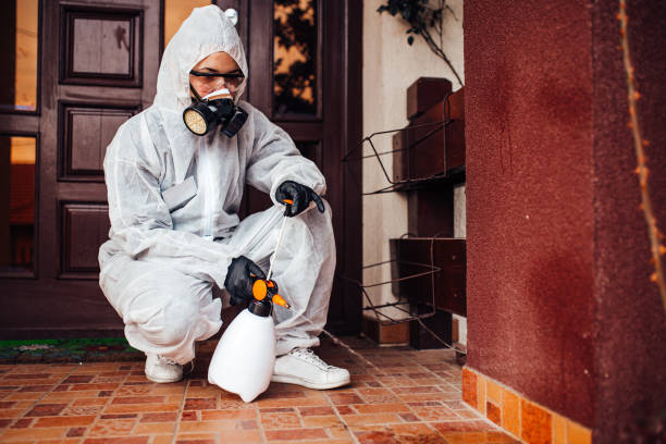 Attic and Crawl Space Rodent Treatment in Foreman